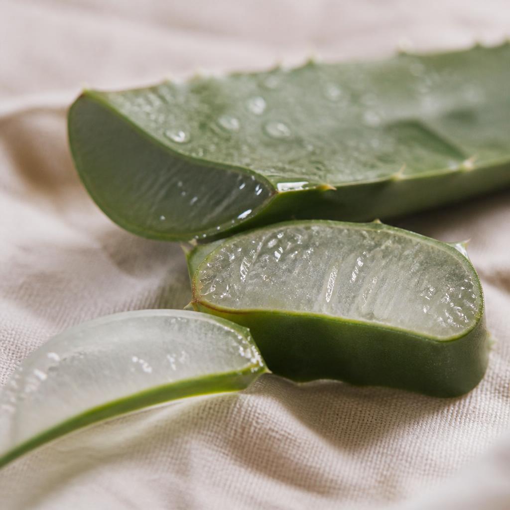 Aloe Vera Extract