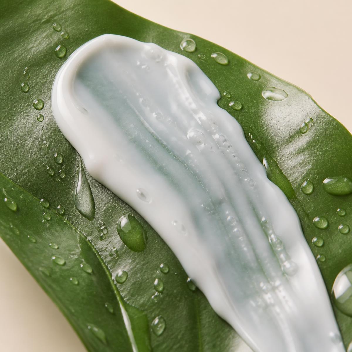 Creamy Botan Milk cleanser texture on a green leaf